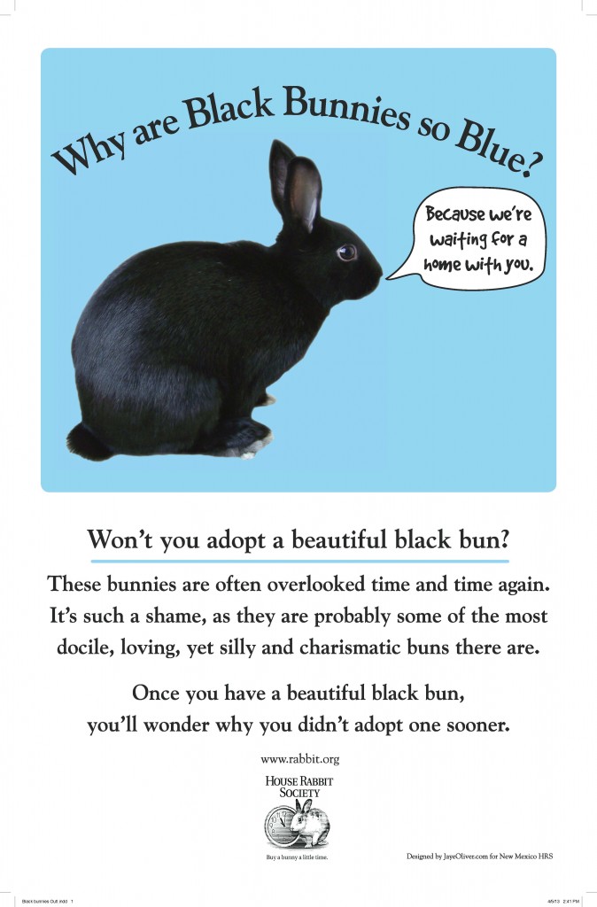 Black bunnies poster Hi Outl