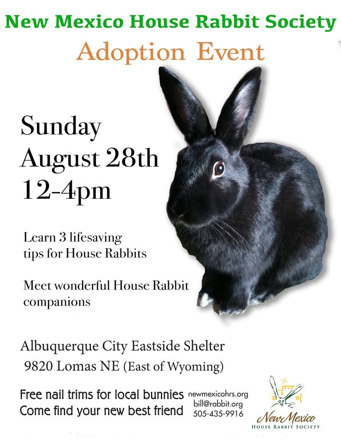 New Mexico House Rabbit Society Rescue Adoption Education Advocacy