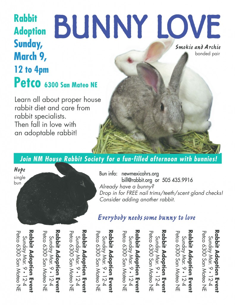 Rabbit Adoption Event Sunday March 9 at Petco on San Mateo New Mexico