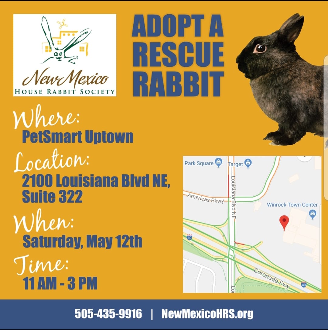 May Rabbit Albuquerque May 12th – ABQ Adoption Event – New Mexico House Rabbit Society