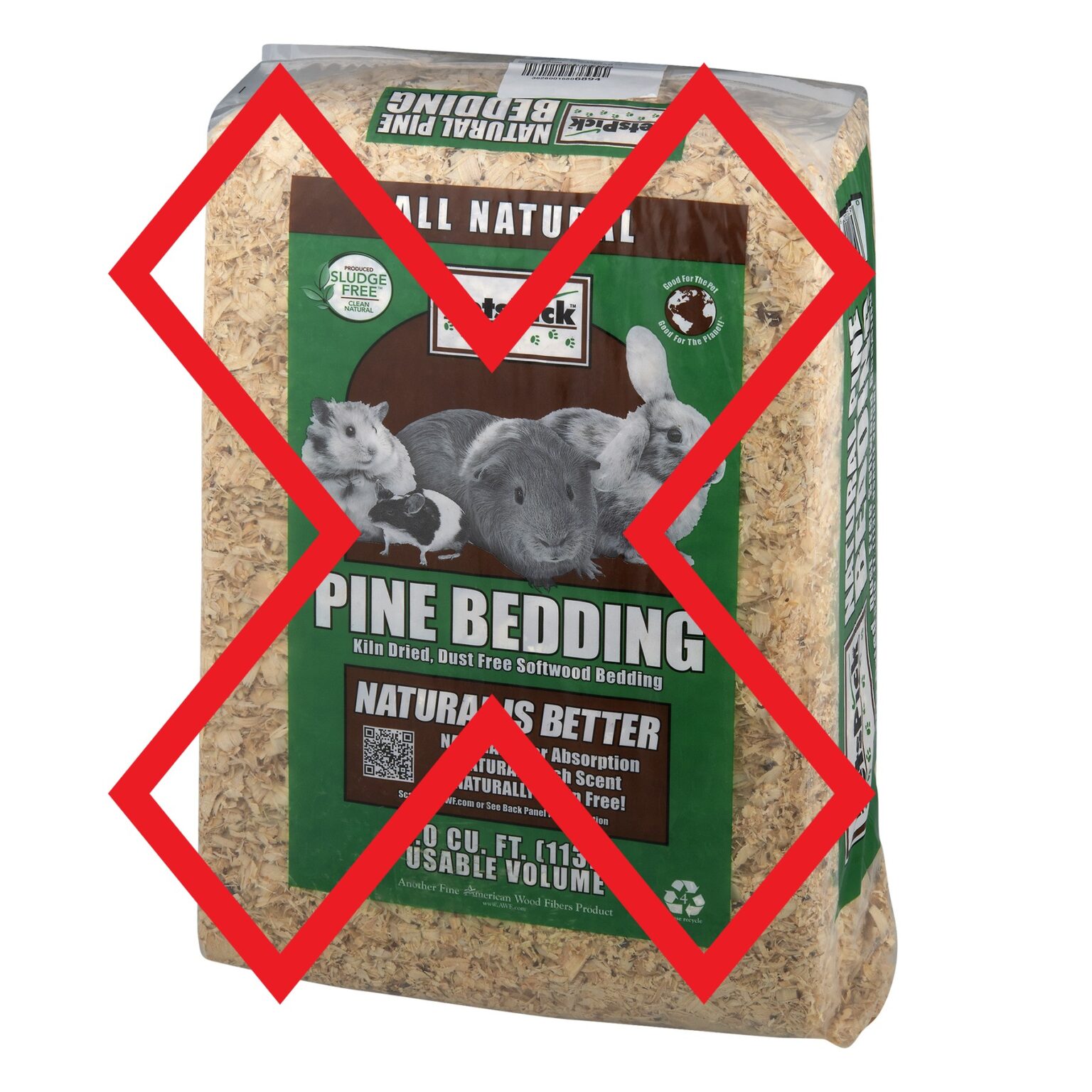 New Mexico House Rabbit Society Rescue, Adoption, Education, Advocacy